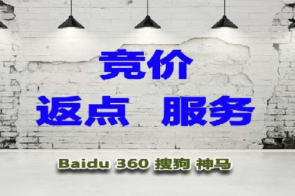 SEM竞价代运营成功案例解析