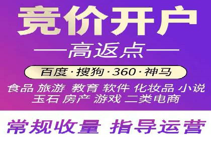 百度竞价推广运营策略：成功案例解析